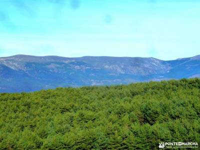 Collado Najarra-Hoya San Blas; las dehesas cercedilla excursiones a cabrera nacimiento urederra puen